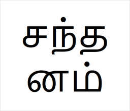 [சந்தனம்] Sandel sapling