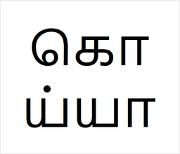 [கொய்யா] Koyya sapling