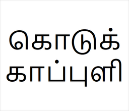 [கொடுக்காப்புளி] Kodukkapuli sapling