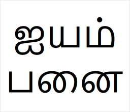 [ஐயம்பனை] Iyampanai sapling