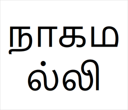 [நாகமல்லி] Naga malli sapling