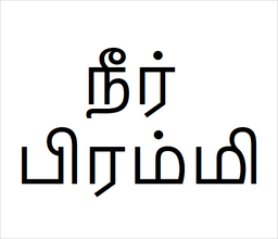 [நீர் பிரம்மி] Neer pirami sapling