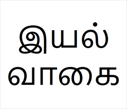 [இயல் வாகை] Iyal vagai sapling